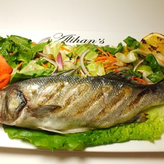 Levrek Sea Bass