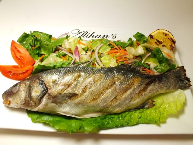 Levrek Sea Bass